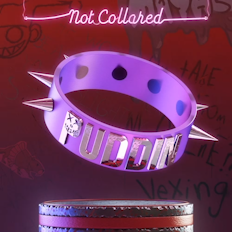 Not Collared