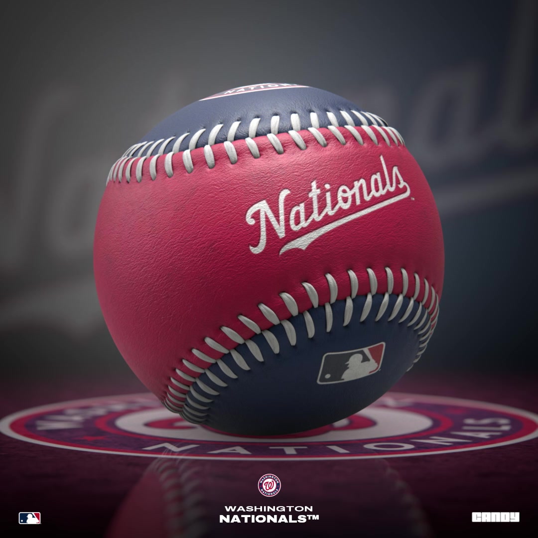 2024 Washington Nationals Baseball 