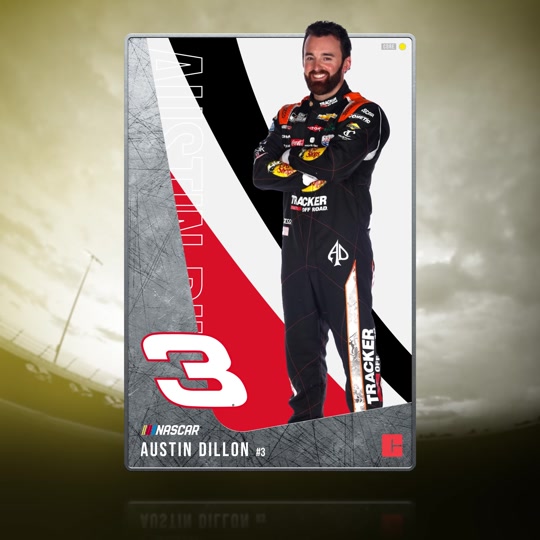 Austin Dillon