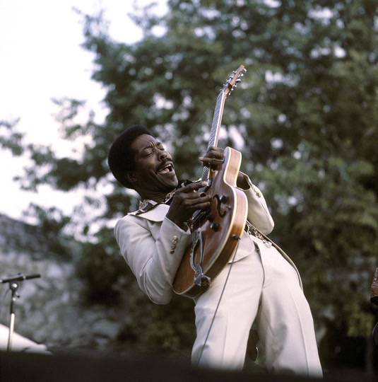 David Redfern: Buddy Guy (1978)