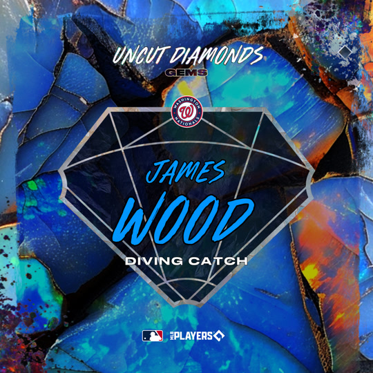 James Wood - Diving Catch
