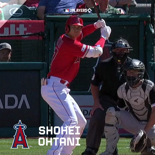Shohei Ohtani- Future Insert