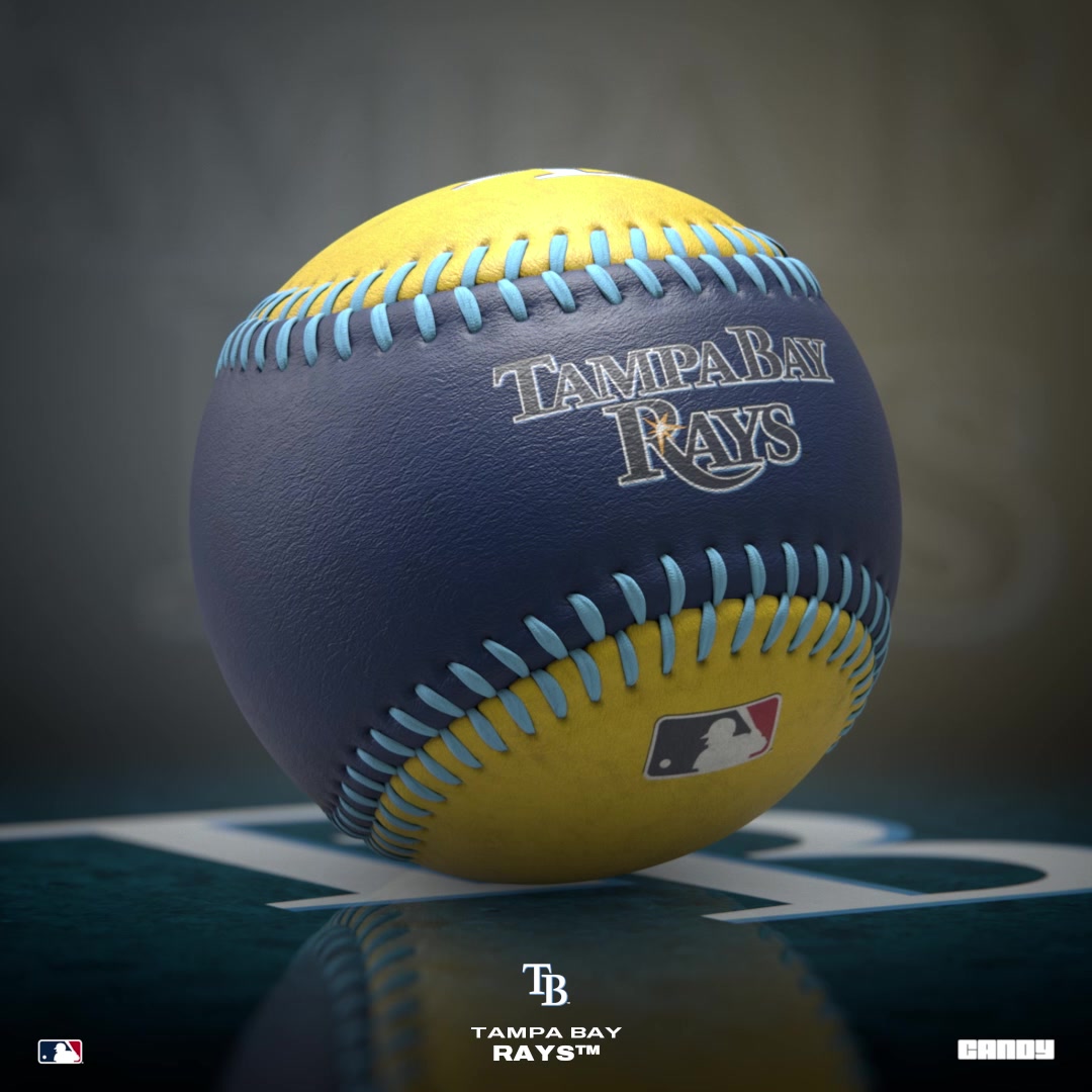 2024 Tampa Bay Rays Baseball 