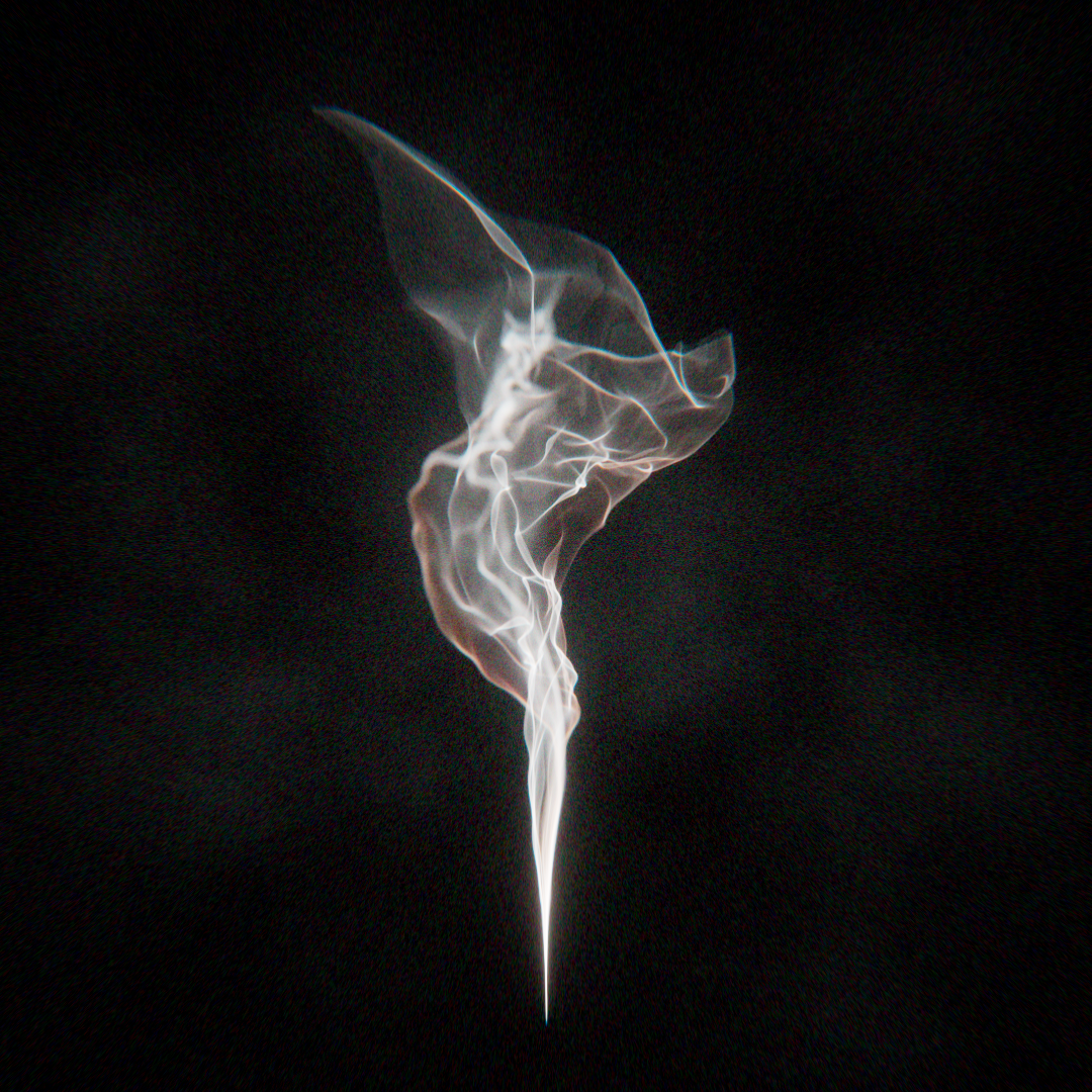 Ghost in the Machine