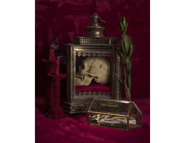 Rachel Stern: Vanitas in Red Velvet